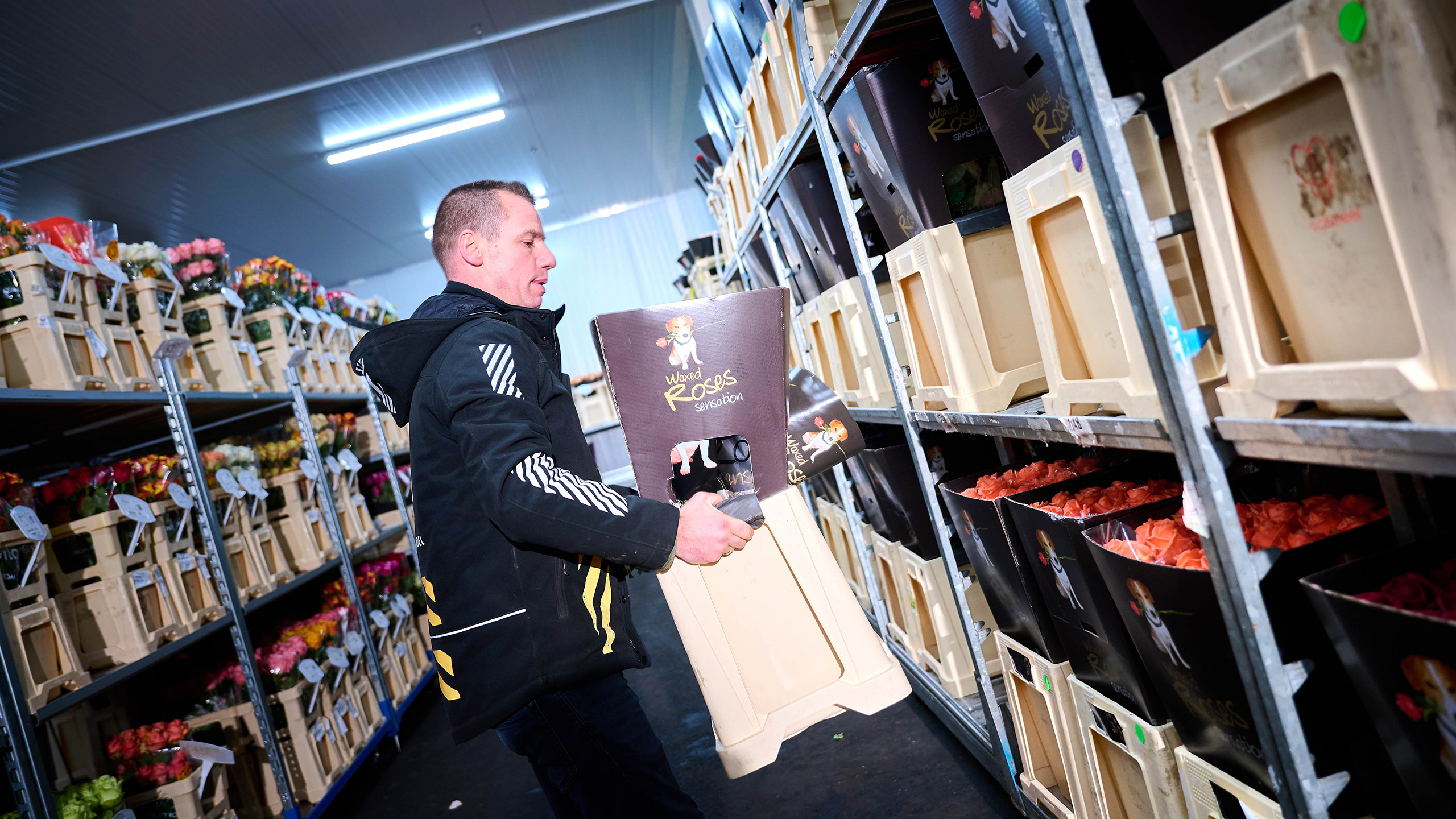 VE Bloemenhandel slideshow