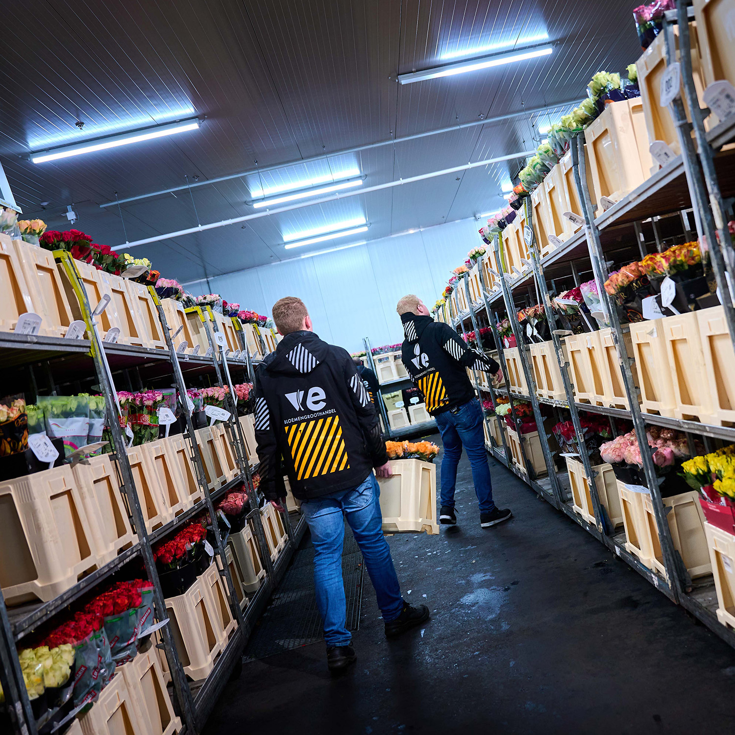 VE Bloemenhandel kijken, kiezen en kopen