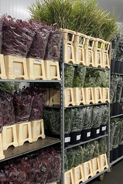 VE Bloemenhandel Waxed Roses sfeerafbeelding