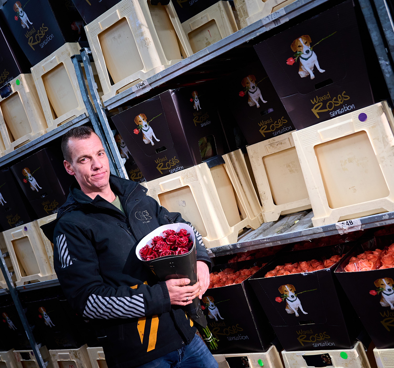 VE Bloemenhandel jaarrond betrouwbare waxrozen