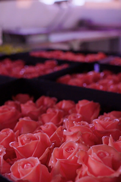 VE Bloemenhandel Waxed Roses sfeerafbeelding