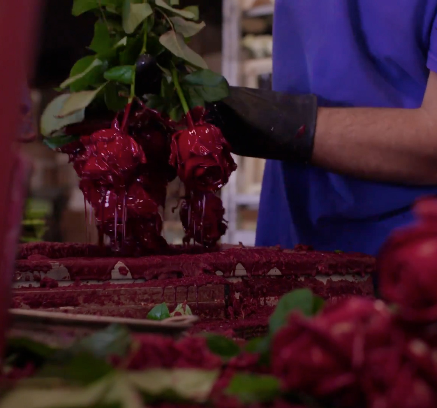 VE Bloemenhandel Waxed Roses rozen waxen