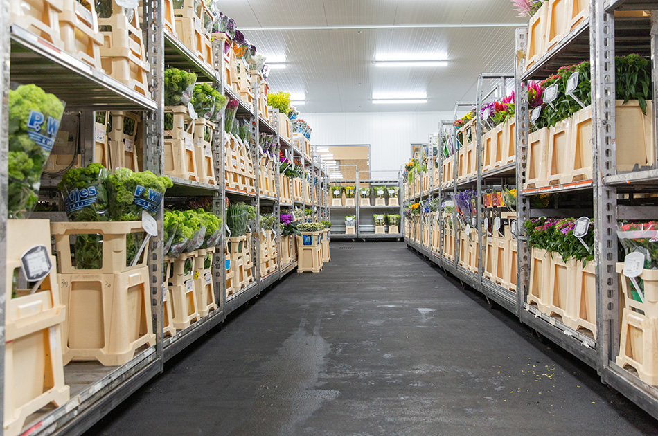 VE Bloemenhandel zomer tulpen sfeerafbeeldingen