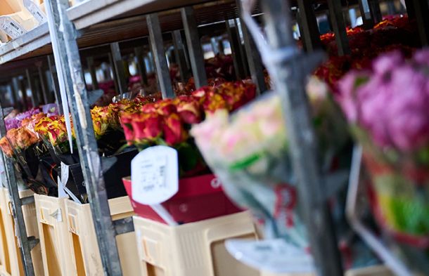 VE Bloemenhandel zomer tulpen sfeerafbeeldingen