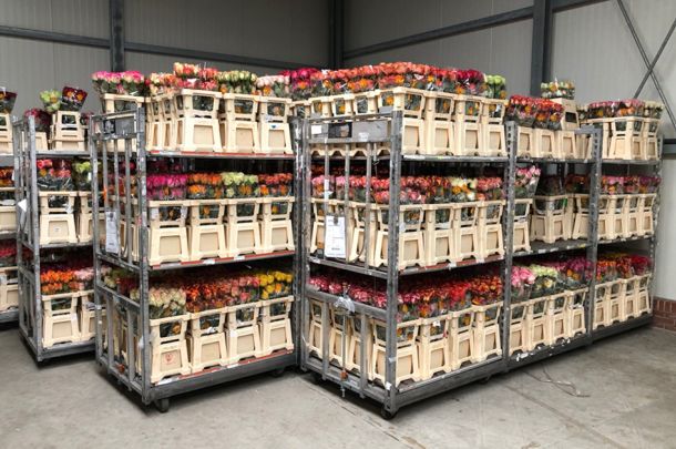 VE Bloemenhandel Ecuador rozen sfeerafbeelding