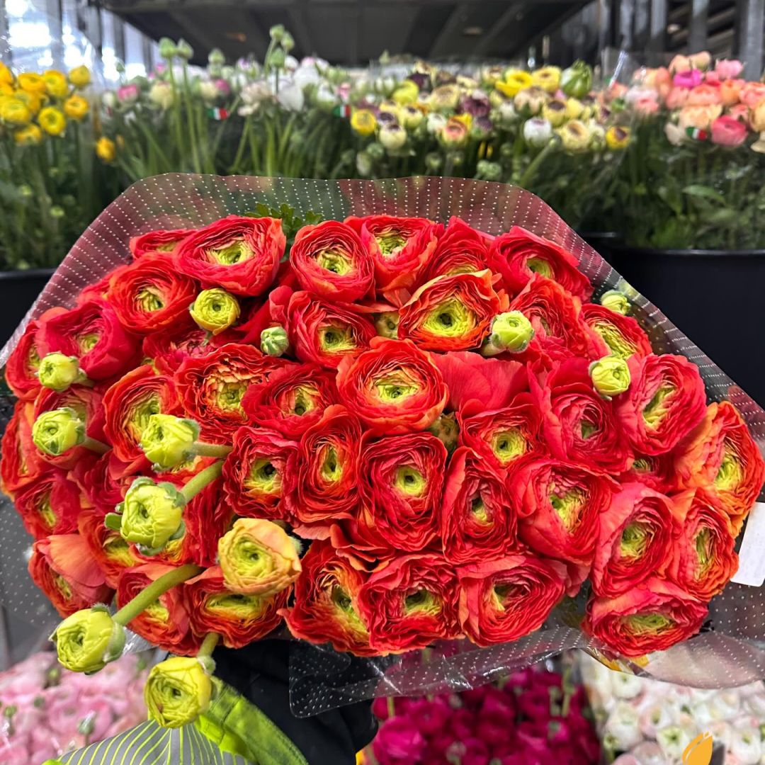 VE Bloemenhandel nstagram feed media