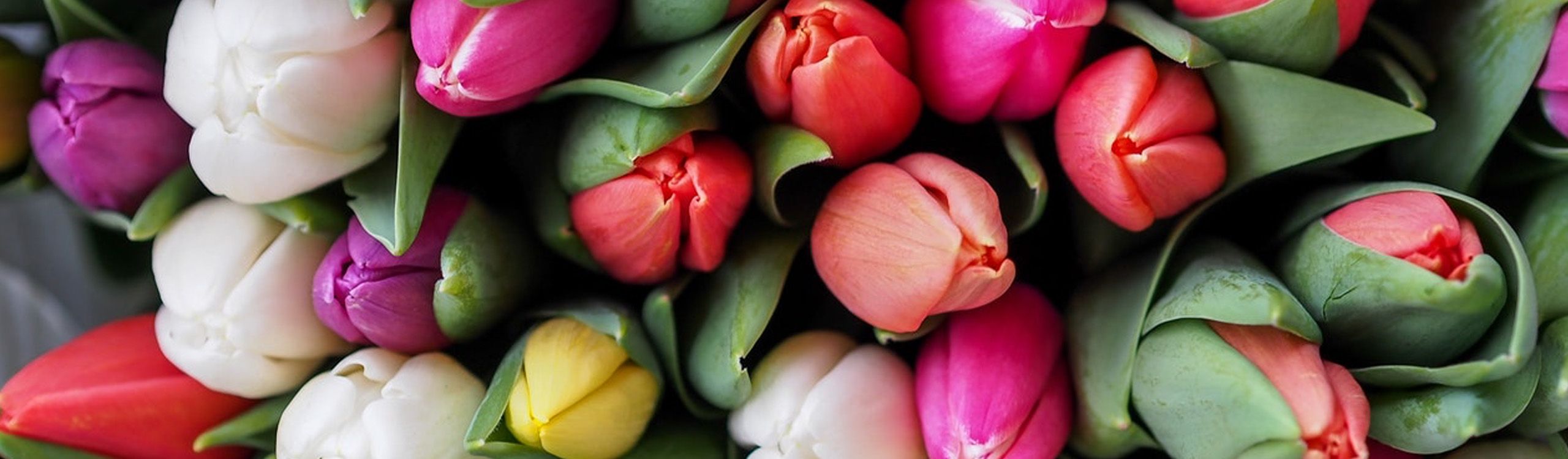 VE Bloemenhandel specialiteiten