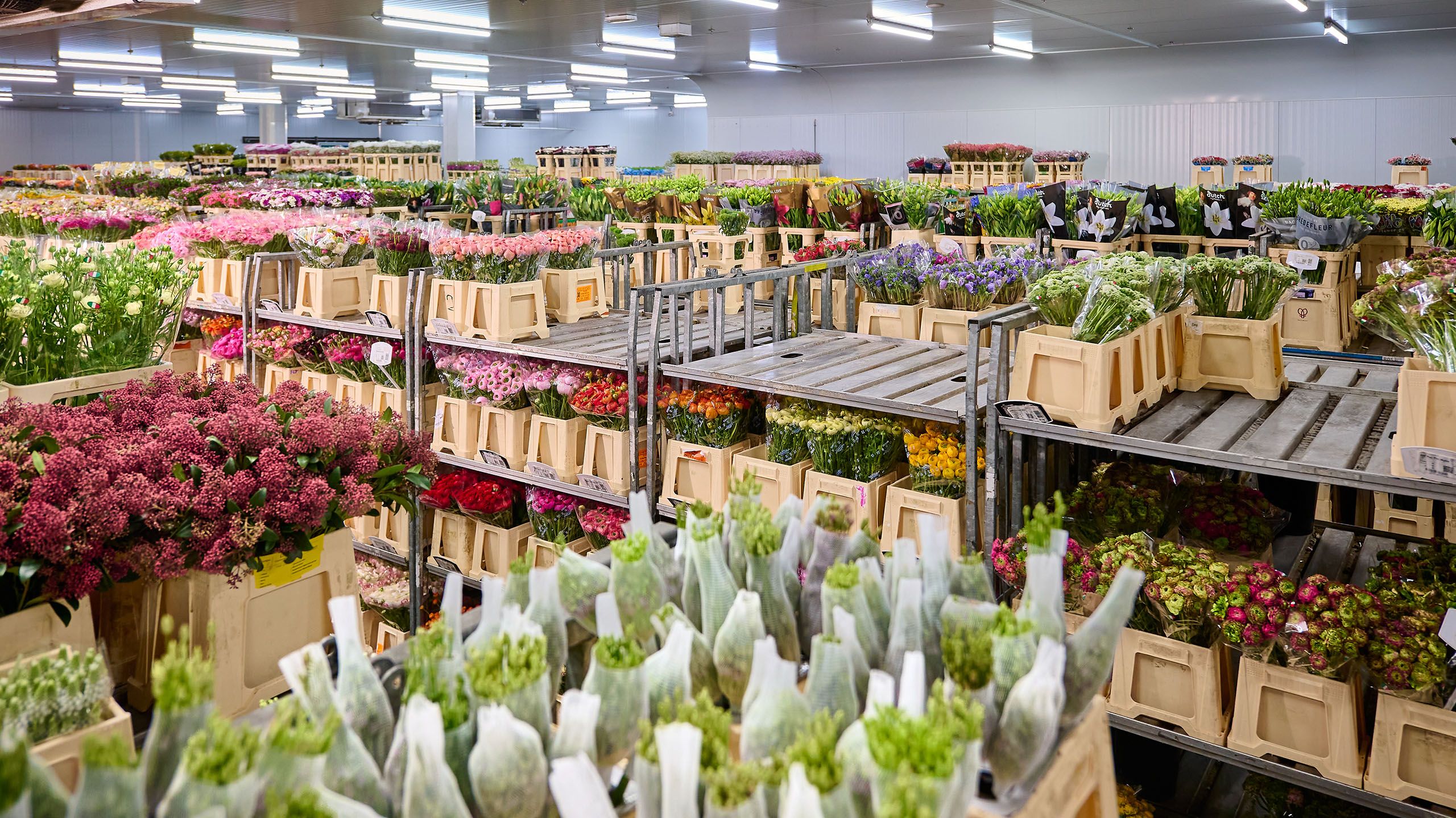 VE Bloemenhandel slideshow images