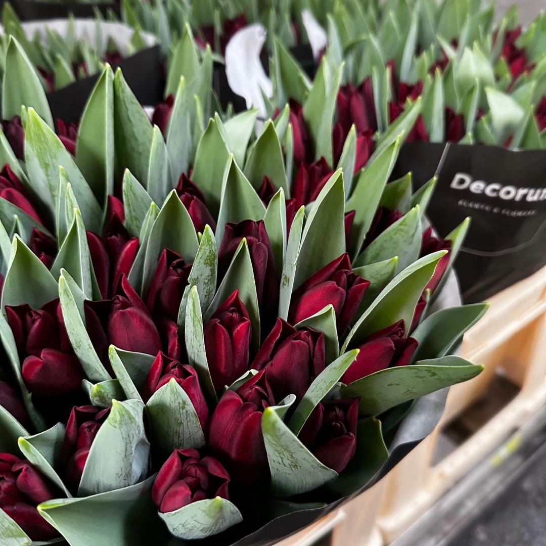 VE Bloemenhandel nstagram feed media