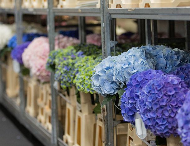 VE Bloemenhandel import uit Italië sfeerafbeelding