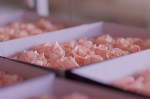 VE Bloemenhandel Waxed Roses sfeerafbeelding