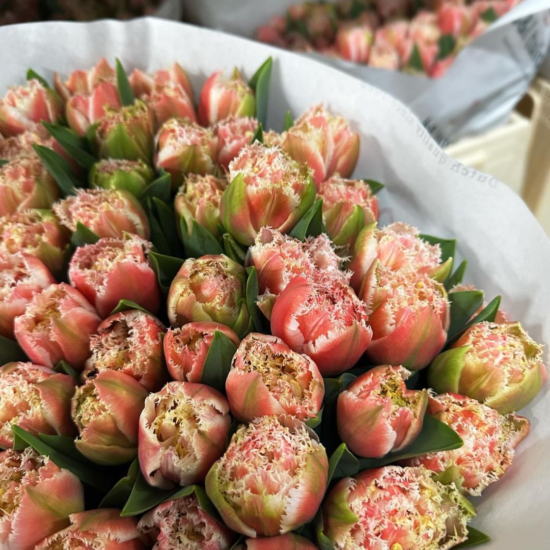 VE Bloemenhandel nstagram feed media