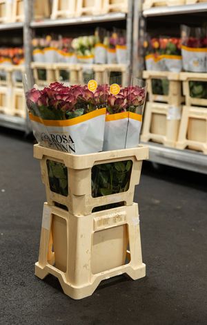 VE Bloemenhandel import uit Italië sfeerafbeelding