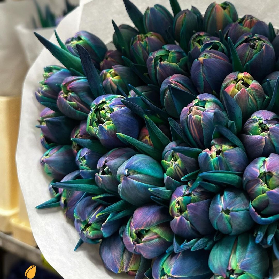 VE Bloemenhandel nstagram feed media