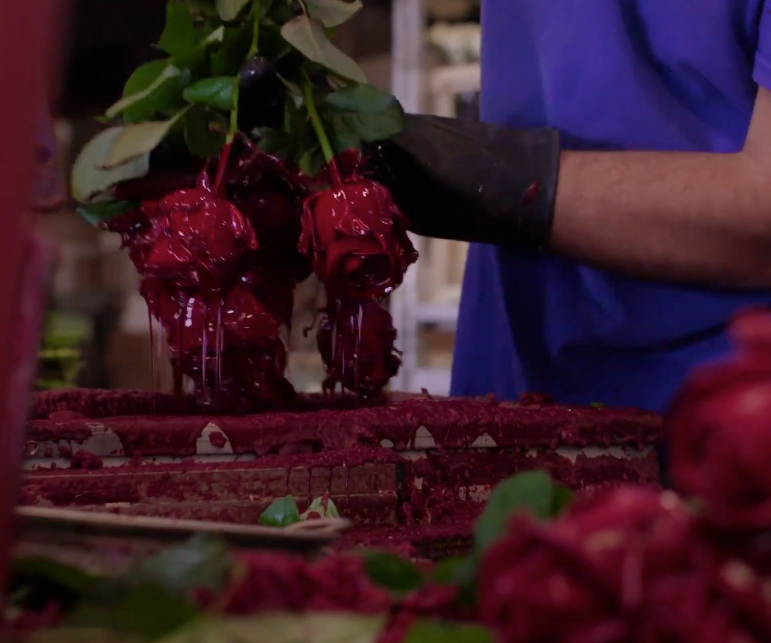 VE Bloemenhandel Waxed Roses rozen waxen