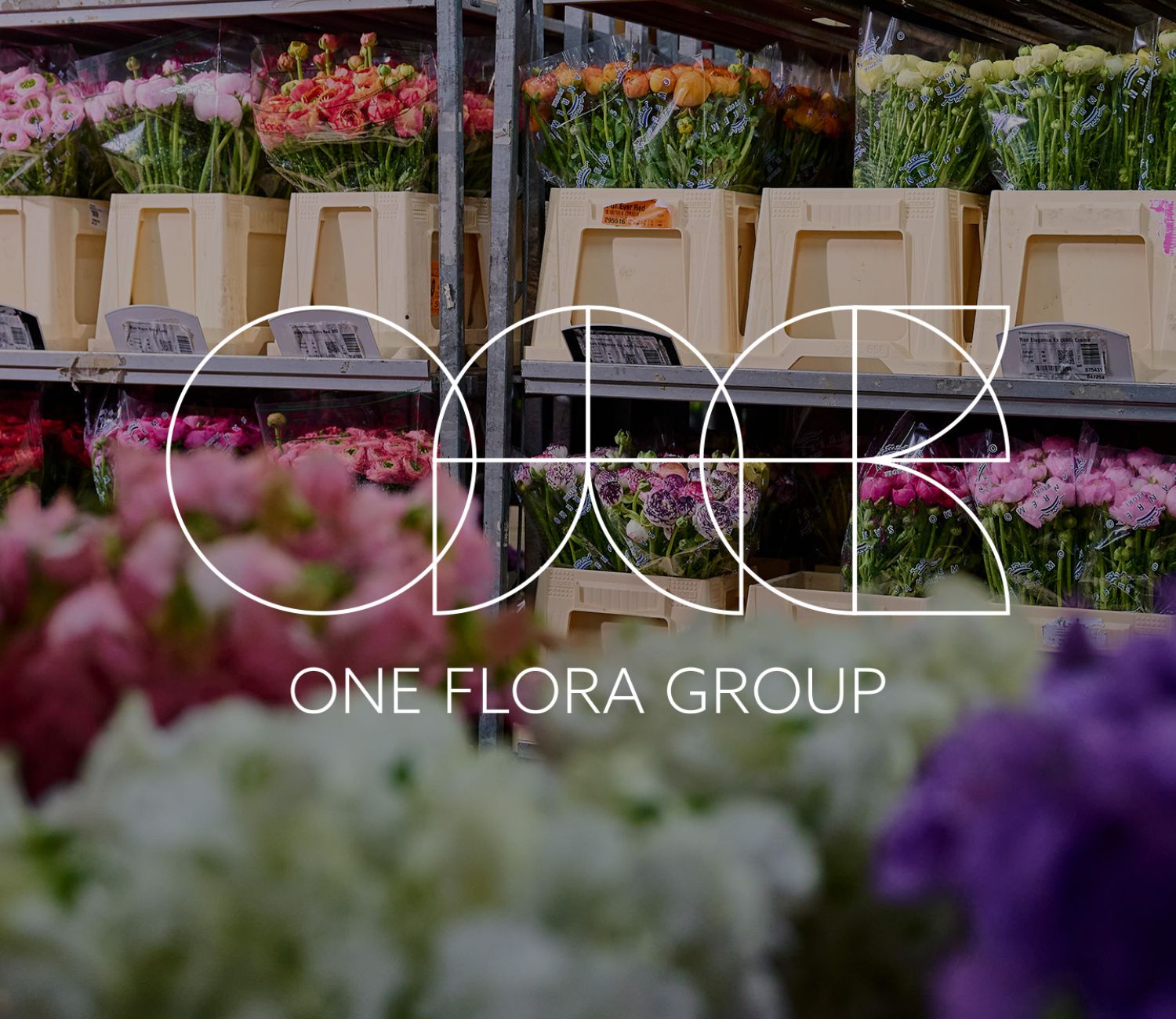 VE Bloemenhandel onderdeel van OFG