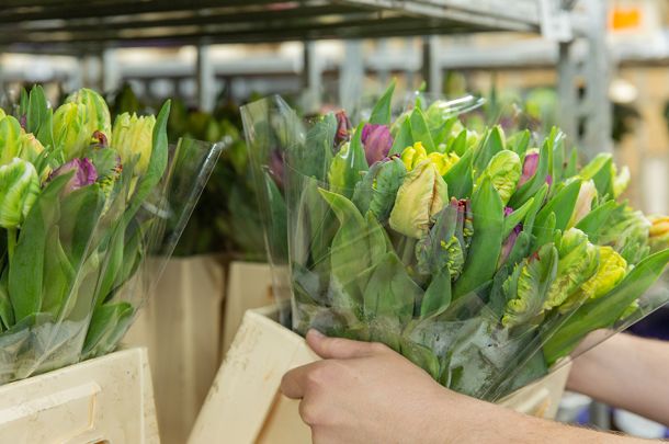 VE Bloemenhandel import uit Italië sfeerafbeelding