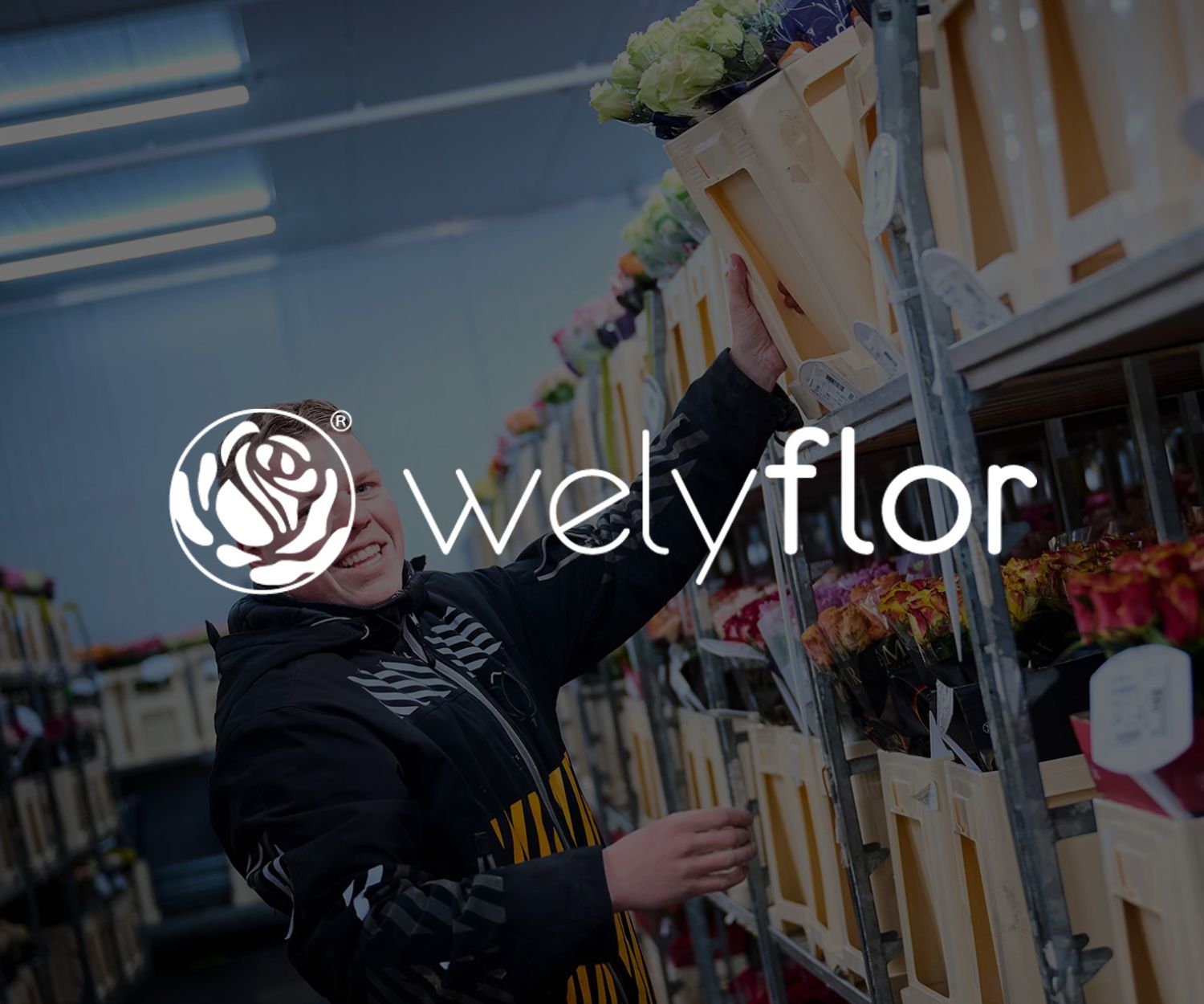VE Bloemenhandel samenwerking met Welyflor
