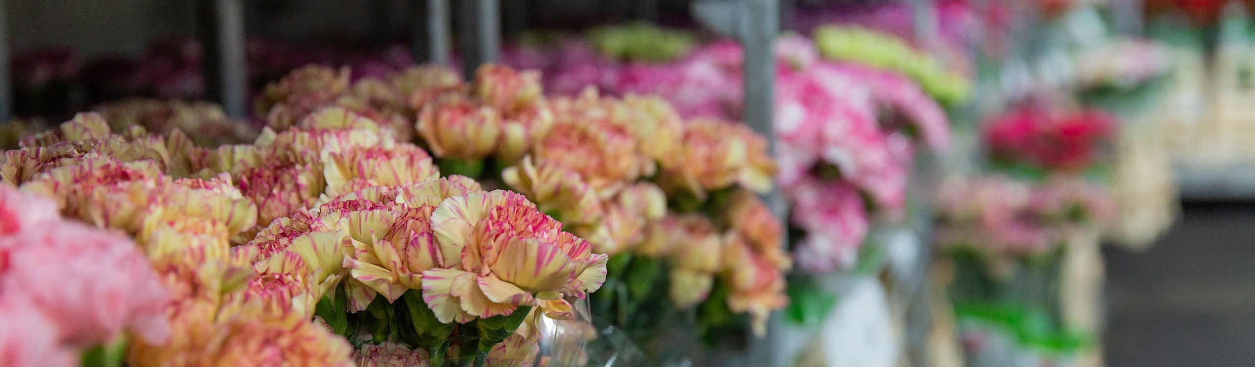 VE Bloemenhandel specialiteiten