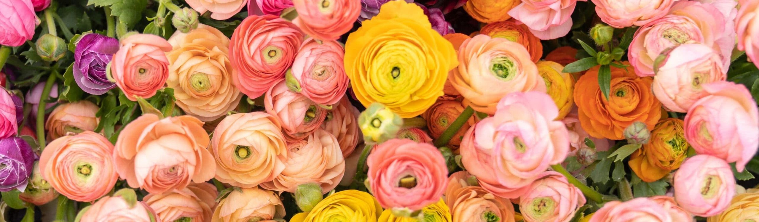 VE Bloemenhandel specialiteiten