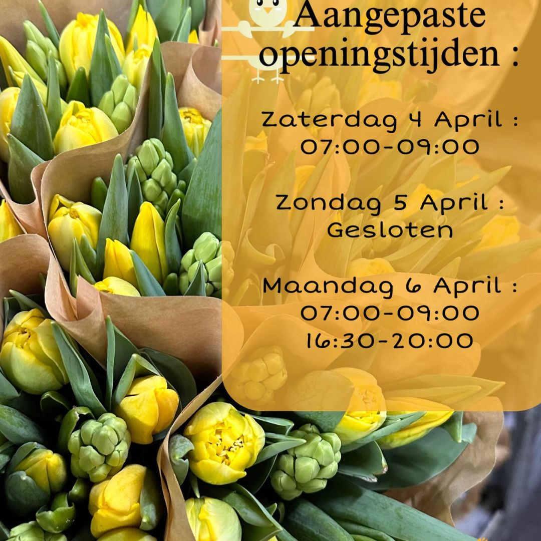 VE Bloemenhandel nstagram feed media