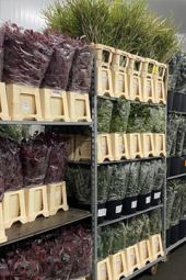 VE Bloemenhandel Waxed Roses sfeerafbeelding