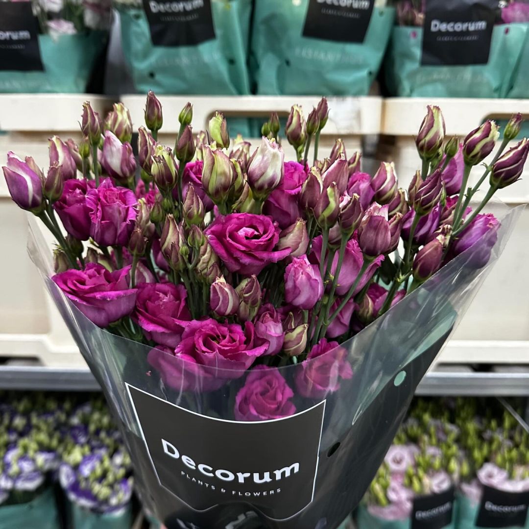 VE Bloemenhandel nstagram feed media