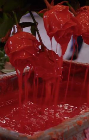 VE Bloemenhandel Waxed Roses sfeerafbeelding