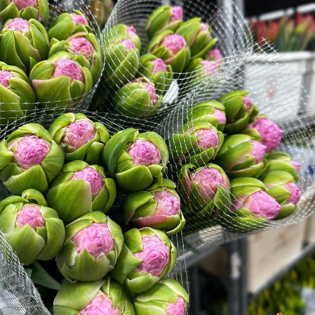 VE Bloemenhandel nstagram feed media